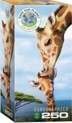 EUROGRAPHICS 250 db-os puzzle - Giraffes (8251-0294) (8251-0294)