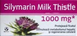 Biofarm, Romania Silimarina Milk Thistle