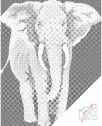 PontPöttyöző - Fáni a pillangók birodalmában Méret: 40x50cm, Keretezés: Kartonlemezen, Szín: Fekete