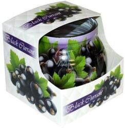 ADMIT Lumânare parfumată - Admit Candle In Glass Cover Black Currant 80 g