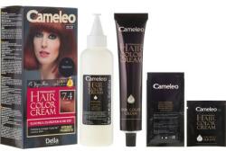 Delia Cosmetics Vopsea pentru păr, rezistentă cu uleiuri naturale - Delia Cameleo Omega + 5.33 - Intense Golden Brown