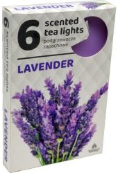 ADMIT Lumânări cu aromă de ceai de lavandă, 6 buc. - Admit Scented Tea Light Lavender