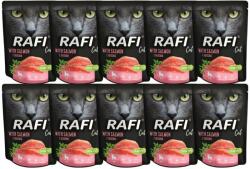 Dolina Noteci Rafi Cat mancare umeda pisici, cu somon 10x300 g
