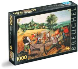 D-Toys Puzzle 1000 Piese D-Toys, Bruegel cel Tanar, Vara (TOY-66947-02) Puzzle