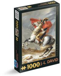 D-Toys Puzzle 1000 Piese D-Toys, Jacques Louis David, Napoleon Crossing the Alps (TOY-72719-01)