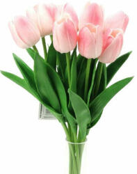Cirmos rózsaszín gumi tulipán (Cirmos-rozsaszin-gumi-tulipan)