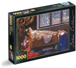 D-Toys Puzzle 1000 Piese D-Toys, John Collier, Frumoasa Adormita (TOY-73822)