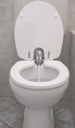 Toilette Nett® bidé WC-ülőke, bidé 420L - Poliészter-műgyanta kivitel (420L)