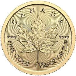 Royal Canadian Mint Maple Leaf 2024 - 1/20 Oz - gold investment coin Moneda
