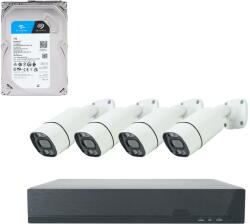 PNI Camera de supraveghere Kit supraveghere video POE PNI House IPMAX POE 8, NVR cu 4 porturi POE, 4 camere cu IP 8MP, HDD 1TB inclus (PNI-POE8-1TB) - vexio
