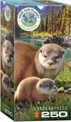 EUROGRAPHICS 8251-5558 - Otters - 250 db-os puzzle (8251-5558)