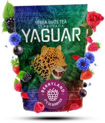 Yaguar Berryland 0, 5kg (5904665801635)