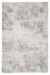 Bizzotto Covor textil argintiu suri 200x290 cm (0601484) - storel Covor