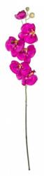 Bizzotto Set 24 orhidee roz fucsia 66 cm (0171555)