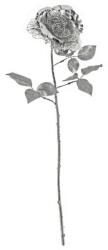 Bizzotto Trandafir artificial argintiu 67 cm (0895214) - storel