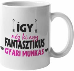  Így néz ki egy fantasztikus gyári munkás