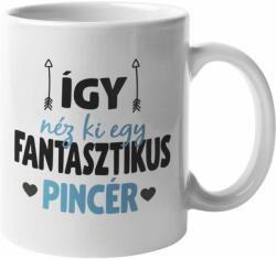  Így néz ki egy fantasztikus pincér
