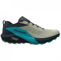 Salomon Sense Ride 5 férfi futócipő Cipőméret (EU): 46 / szürke/kék