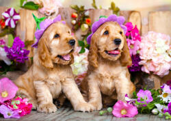 Enjoy 1263 - Spaniel Puppies with Flower Hats - 1000 db-os puzzle (1263)
