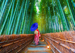Enjoy 1293 - Asian Woman in Bamboo Forest - 1000 db-os puzzle (1293)