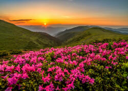 Enjoy 2063 - Pink Dusk - 1000 db-os puzzle (2063)