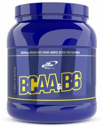 Pro Nutrition BCAA & B6 300g