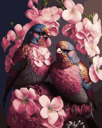 Oh Art Set pictura pe numere, cu sasiu, Pasari in flori roz, 40x50 cm (ANG376)
