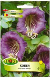 Florian Ltd Seminte de Clopot violet, 5 seminte FLORIAN (HCTG00246)
