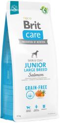 Brit Grain-Free Junior Large Breed Salmon & Potato kimérős száraztáp