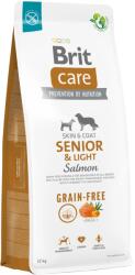 Brit Care Grain-Free Senior & Light Salmon & Potato 3 kg - tapbirodalom