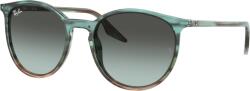 Ray-Ban RB2204 1394GK