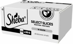 Sheba Selection Select Slices 120x85 g Hrana umeda pisici, carne in sos, cu rata, pui, pasare si curcan