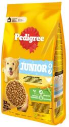 PEDIGREE Junior száraz kutyaeledel baromfival és zöldségekkel, 12kg