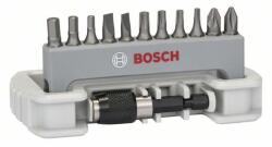 Bosch Set capete de şurubelniţă, 11 buc. , inclusiv suport capete de şurubelniţă PH2, PZ2, T10, T15, T20, T25, S0.6x4.5, S0.8x5.5, HEX3, HEX4, HEX5 (2608522131)