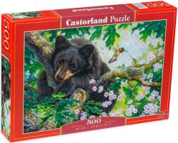 Castorland Puzzle Castorland din 500 de piese - Ursul pe un copac (B-53629) Puzzle