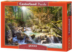Castorland Puzzle Castorland din 2000 de piese - Padure (C-200382-2)
