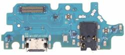 tel-szalk-19296952278 Samsung Galaxy F13 töltőcsatlakozó port panel (tel-szalk-19296952278)