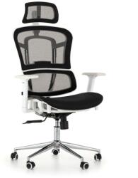Rauman Pegasus irodai szék, fekete / fehér
