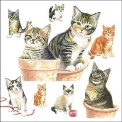 Ambiente Cute kittens papírszalvéta 33x33cm, 20db-os - szep-otthon