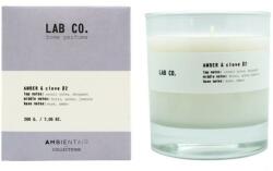Ambientair Lumânare parfumată - Ambientair Lab Co. Amber & Clove 200 g