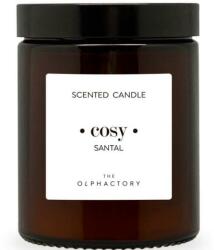 Ambientair Lumânare aromată - Ambientair The Olphactory Santal Scented Candle 135 g