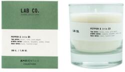 Ambientair Lumânare parfumată - Ambientair Lab Co. Pepper & Iris 200 g