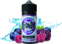 e-Potion Lichid Hydrater Just Berries 0mg 100ml