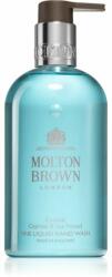 Molton Brown Coastal Cypress & Sea Fennel Săpun lichid pentru mâini pentru bărbați 300 ml