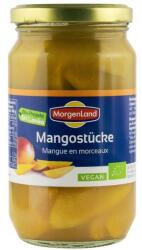 MorgenLand Bio Mango Bucati, 350 g MorgenLand