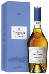 Delamain Pale and Dry XO Centenaire cognac (0, 5L / 42%) - ginnet
