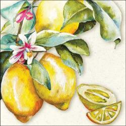 Ambiente Sunny lemon papírszalvéta 33x33cm, 20db-os