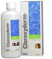 ICF Clorexyderm 4% Sampon 250ml