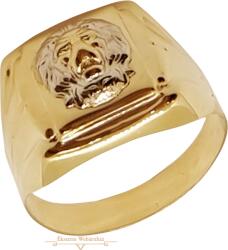  Arany Pecsétgyűrű (méret: 74) SG 84549