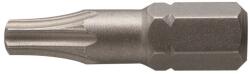 Högert Technik Csavarhúzó BIT, T25 TORX 25 mm, acél S2 (HT1S364) (HT1S364)
